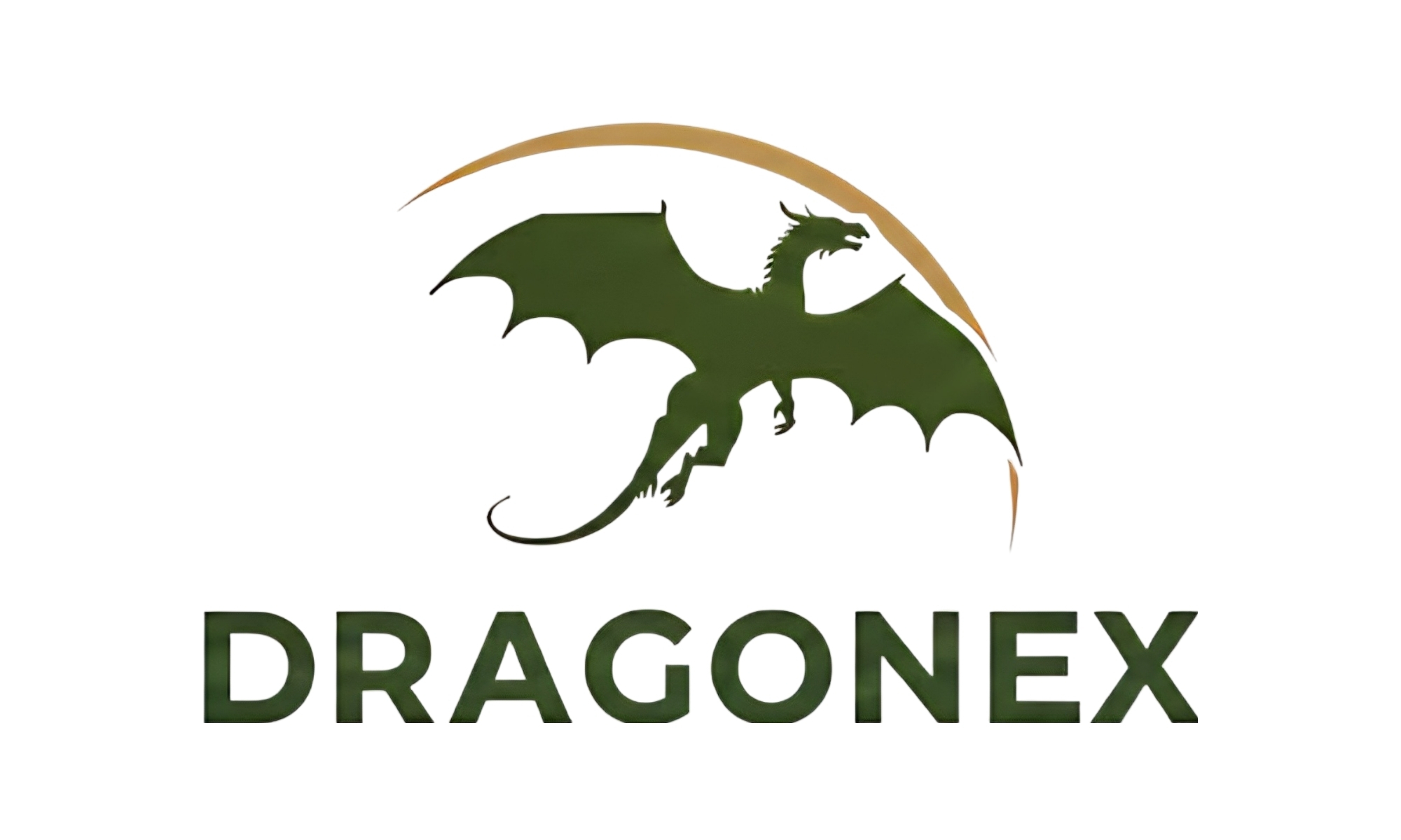 Website Logo